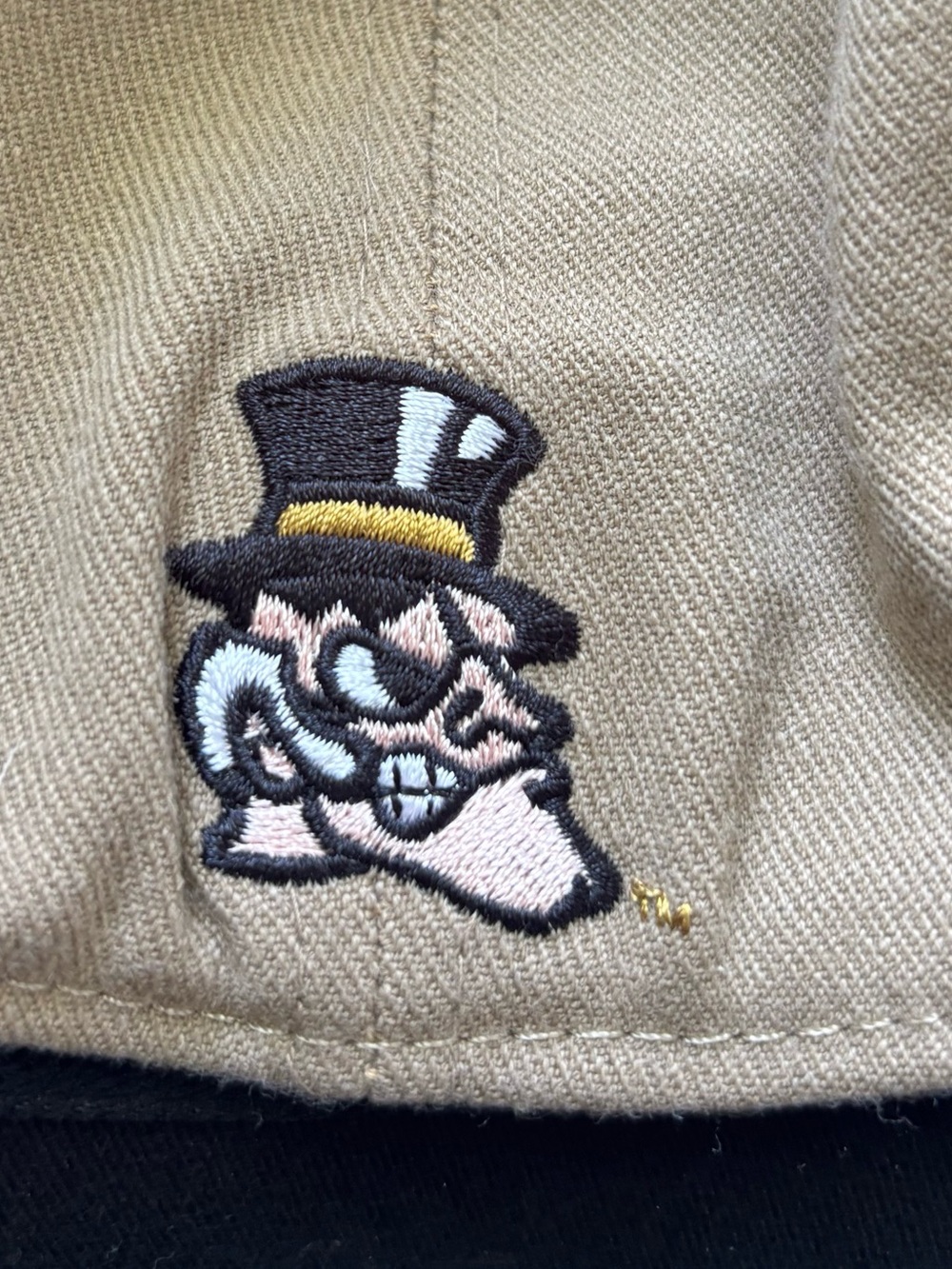 🎒BTS SALE📚 Wake Forest Demon Deacons WF Stretch Fit Hat Top Of The World One F - Picture 3 of 11